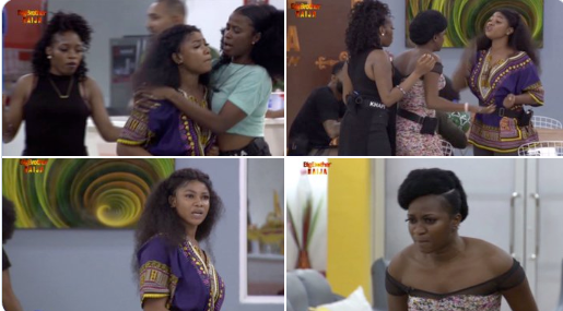 The drama’s started as Tacha and Thelma had a fight over fish, chop fish, no chop fish as it became a drama in the house