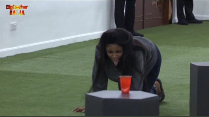 Big Brother Naija gave every housemates a task to perform but Instagram slay, Tacha own was totally different, what she picked was to mimick a goat.  She displayed an excellent performance by mimicking a goat. 