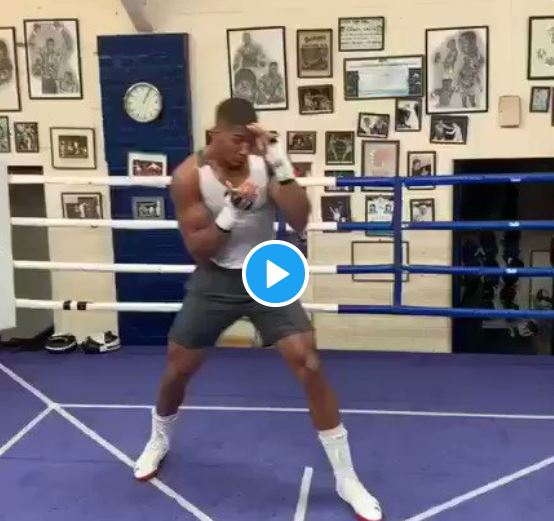 Popular Professional boxer, Anthony Oluwafemi Olaseni Joshua known as Anthony Joshua was seen training ahead of rematch with Andy Ruiz. Gistvic Reports.