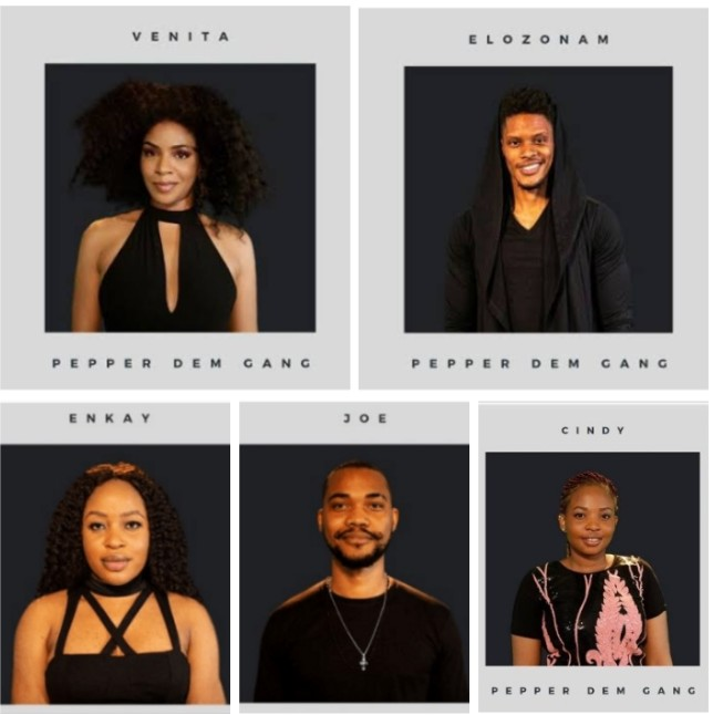 Big Brother, BBNaija host, Ebuka has confirmed that the five housemates introduced to the ‘pepper dem’ reality show last week are not fake housemates. Gistmore had reported that following the introduction of five housemates last week, other housemates had expressed mixed feelings towards the development.