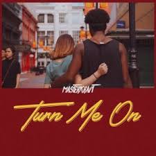 Download Music Mp3:- Masterkraft – Turn Me On