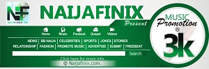 Naijafinix Music Art--Naijafinix-com