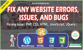 As a website owner, you may be faced with one challenge or the other and sometimes you may not even know where the cause of the issue is probably due to your little web development knowledge