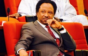 The Federal High Court in Abuja has granted bail to the former senator representing Kaduna Central, Shehu Sani, in the sum of N10m.