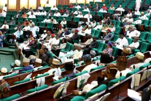 There was a mild confusion within the House of rep in a plenary session when the notion to bring back Nigerians based in China due to the outbreak of the deadly corona virus was rejected