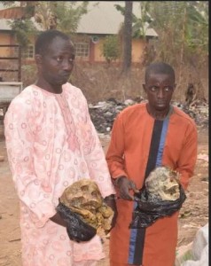 Osun State Police Command on Tuesday paraded two suspected ritualists, Adesina Adeniyi 42, and Oluwole Olapade, 58, caught with two human skulls.