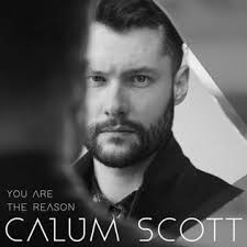 Download Music Mp3:- Calum Scott - You Are The Reason