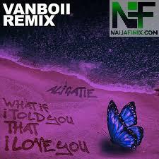 Download Music Mp3:- Vanboii - What If I Told You That I Love You (Remix)