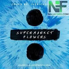 Download Music Mp3:- Ed Sheeran - Supermarket Flowers