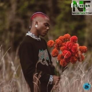 Download Music Mp3:- CKay - DTF (Official Audio)