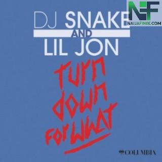 Download Music Mp3:- DJ Snake - Turn Down for What Ft Lil Jon