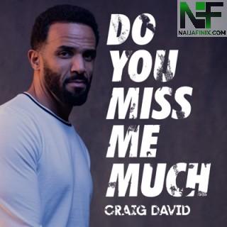 Download Music Mp3:- Craig David - Do You Miss Me Much