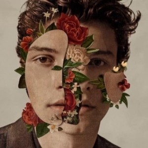 Download Music Mp3:- Shawn Mendes - Wonder