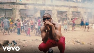 Download Video:- Vector – License (Video)