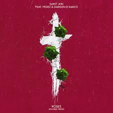 Saint Jhn - Roses (MP3 Download)