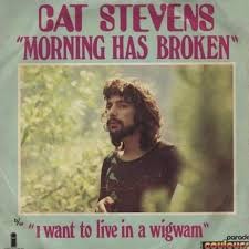 Cat Stevens - Lady D'Arbanville (MP3 Download)