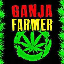 Marlon Asher - Ganja Farmer (MP3 Download)