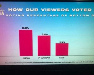 BBNaija: How Viewers Voted For The Bottom 3 Housemates