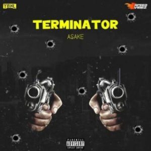 Asake - Terminator (MP3 Download)