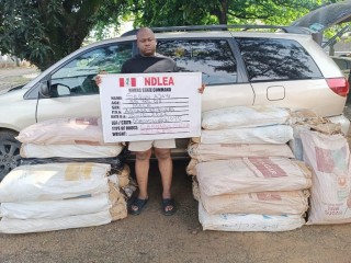 NDLEA Intercepts 35 Bags Of Cannabis Sativa In Rivers, Arrests One