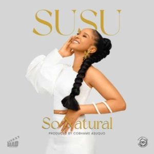 Susu – Too Much (MP3 Download)