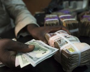 Adamawa BDC Operators Reject Dollars As Naira Rebounds At Parallel Market