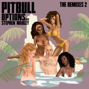 Pitbull - Options Ft. Stephen Marley (MP3 Download)