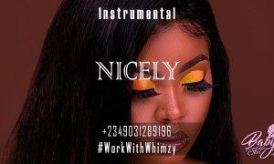 Afrobeat Instrumental 2023 Nicely (Davido ✘ Burnaboy ✘ Runtown) Prod by Wowkwithwhimzy (MP3 Download)