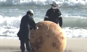 Japan’s mystery ball removed from the beach