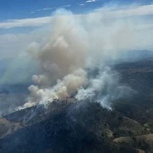 Dozens of bushfires spread as heat grips Australia's east