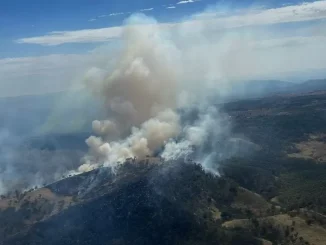 Dozens of bushfires spread as heat grips Australia's east