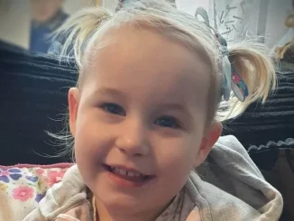 Lola James killed in extremely violent attack, trial hears