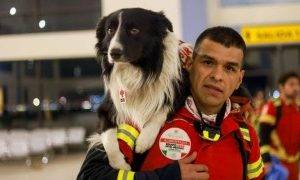 Mexico sends its beloved dog search and rescue teams to Turkey