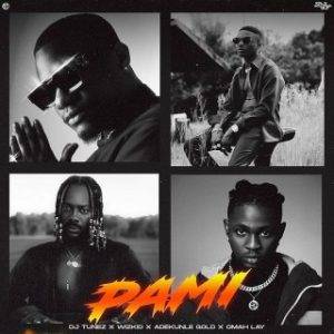 [Music Lyrics]:- DJ Tunez ft. Wizkid, Adekunle Gold, Omah Lay – Pami Lyrics