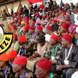 Ohanaeze Warns Against Using Its Name, Platforms For Political Canvassing