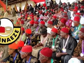 Ohanaeze Warns Against Using Its Name, Platforms For Political Canvassing