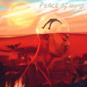 Rema – Peace of Mind (Lyrics)