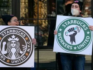 Starbucks illegally fired US workers over union, judge rules