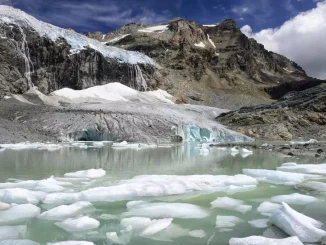 UN climate report: Scientists release 'survival guide' to avert climate disaster