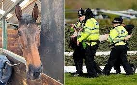 Grand National 2023: Trainer blames delays caused by protesters for horse death