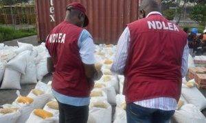 Hoodlums Overpower NDLEA Officials, Free Suspect In Rivers