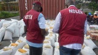 Hoodlums Overpower NDLEA Officials, Free Suspect In Rivers