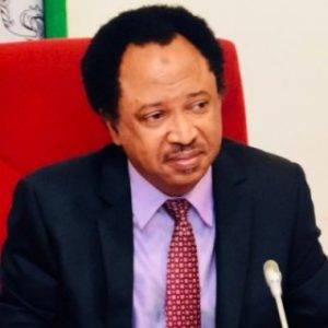 "I Owe Nothing": Shehu Sani Applauds Tinubu For Not Falling For Wike's Trick