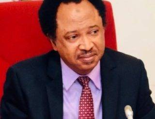 "I Owe Nothing": Shehu Sani Applauds Tinubu For Not Falling For Wike's Trick