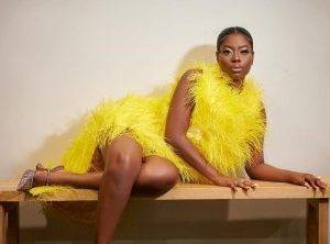 I’ll Set It All On Fire – Sophia Momodu Threatens Over Davido’s Response To Her Tweet
