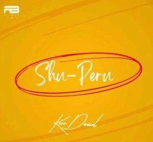 Kizz Daniel – Shu-Peru (MP3 Download)