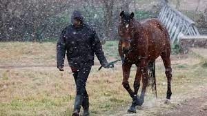 South Africans marvel at snow and sleet in Johannesburg during cold snap