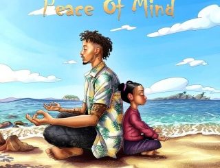 Tekno – Peace Of Mind (MP3 Download)