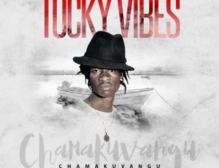 Tocky Vibes -Tushiri (MP3 Download)