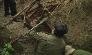 Ukraine finds British WW2 Hurricane planes outside Kyiv